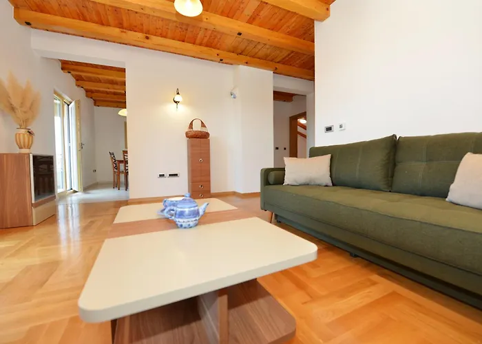 Apartamento Nikola *